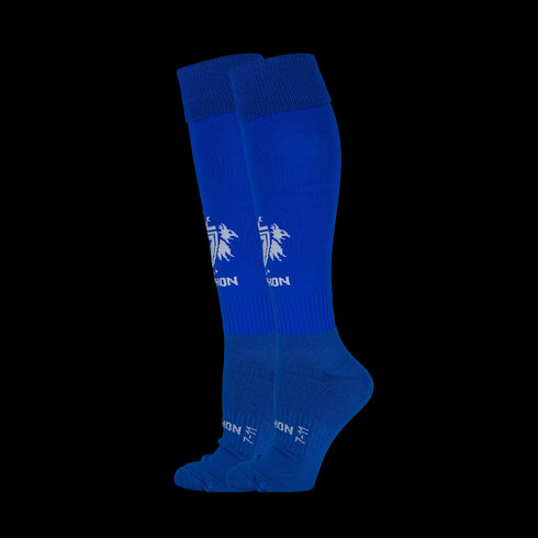 Gryphon Training Socks Cobalt Blue