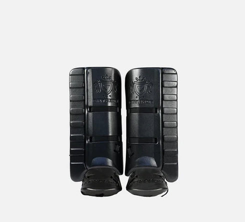 Gryphon Sentinel Combo